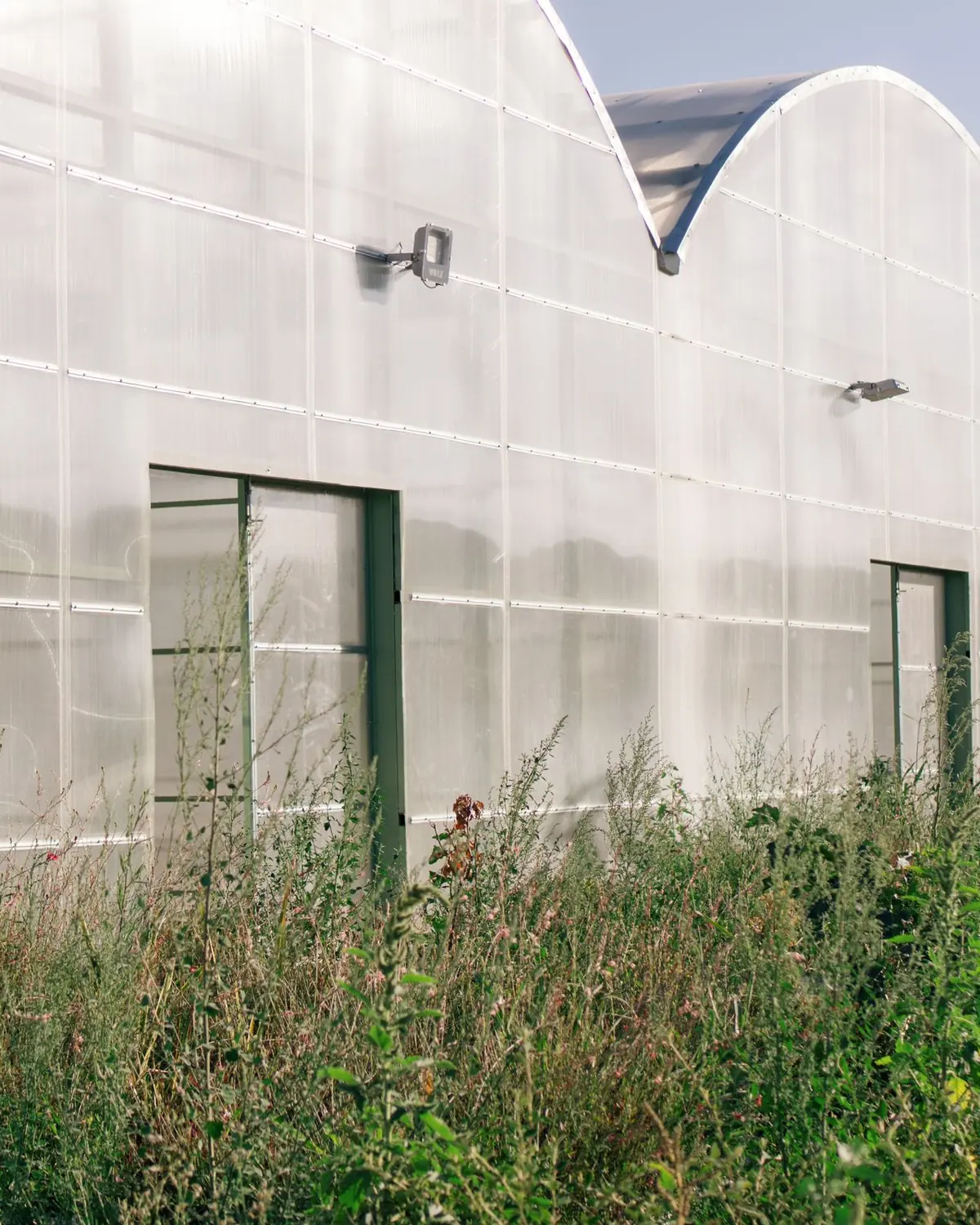 Building envelope clad in translucent polycarbonate sheeting