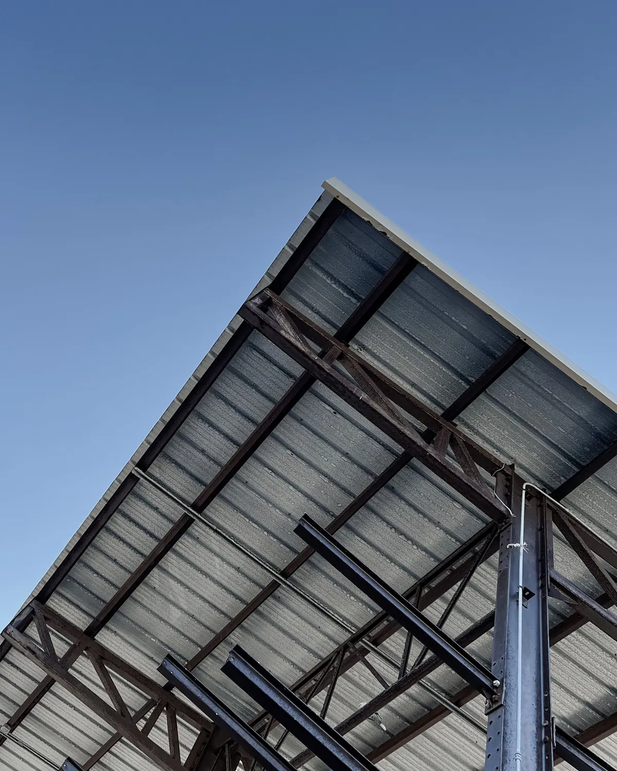 Underside of a steel roof frame carrying purlins and sheeting